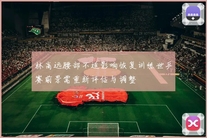 林高远腰部不适影响恢复训练世乒赛前景需重新评估与调整